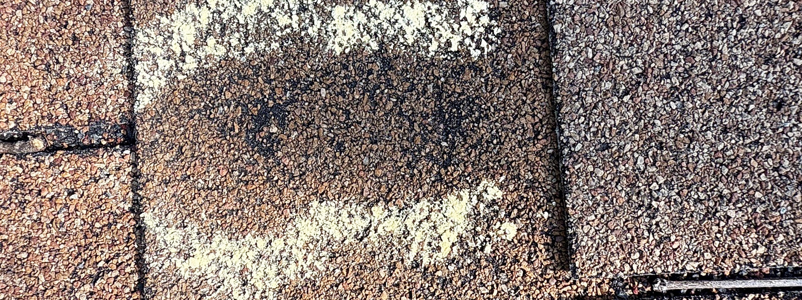 Damaged roof shingles showing common warning signs homeowners should watch for